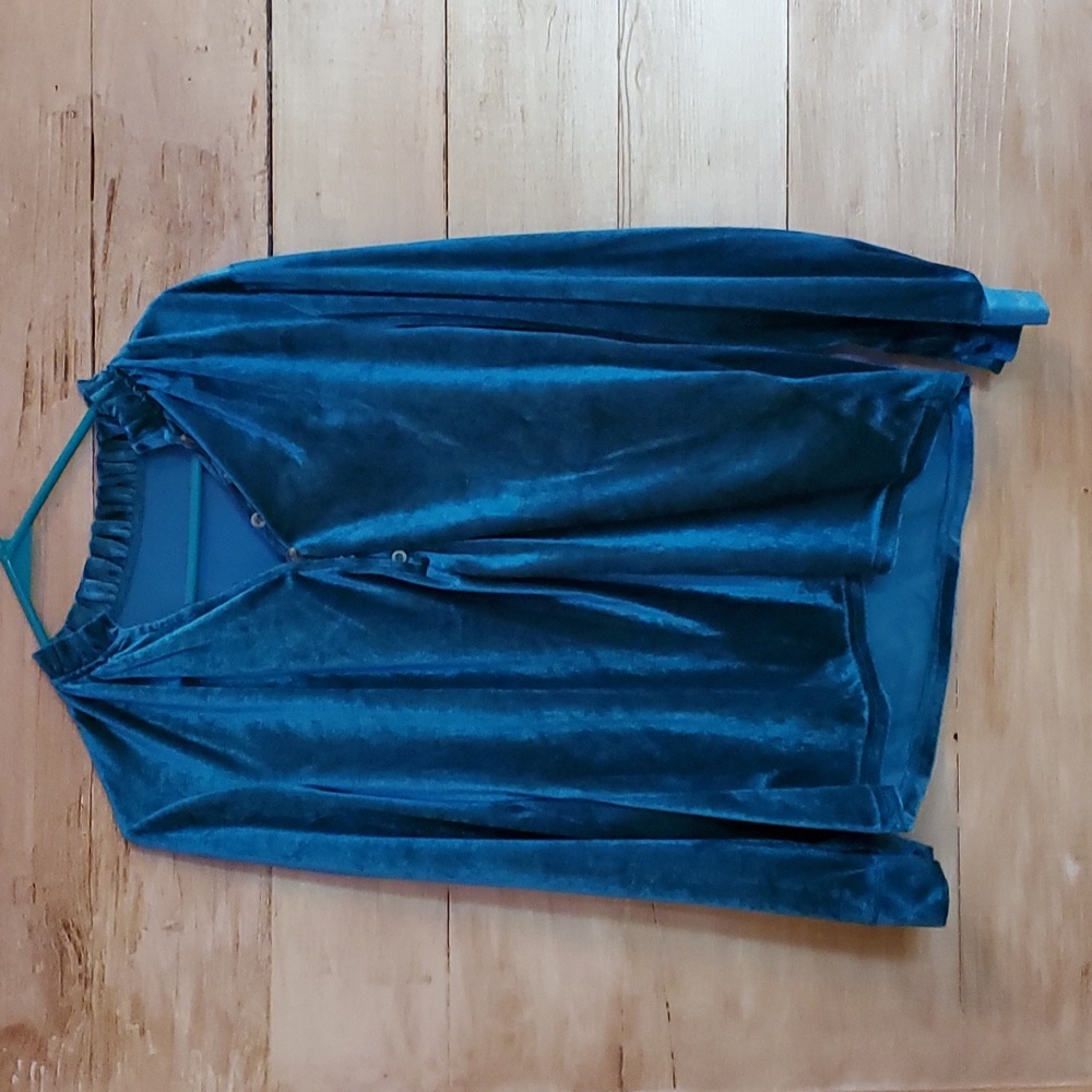 SHEIN LUNE Notched Neckline Velvet Blouse